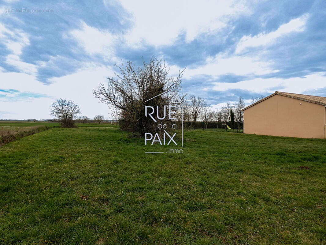 Terrain à SAINT-CLAIR