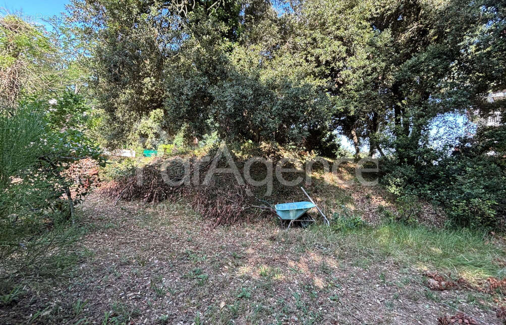 Terrain à VAUX-SUR-MER