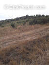 Terrain à BROUILLA