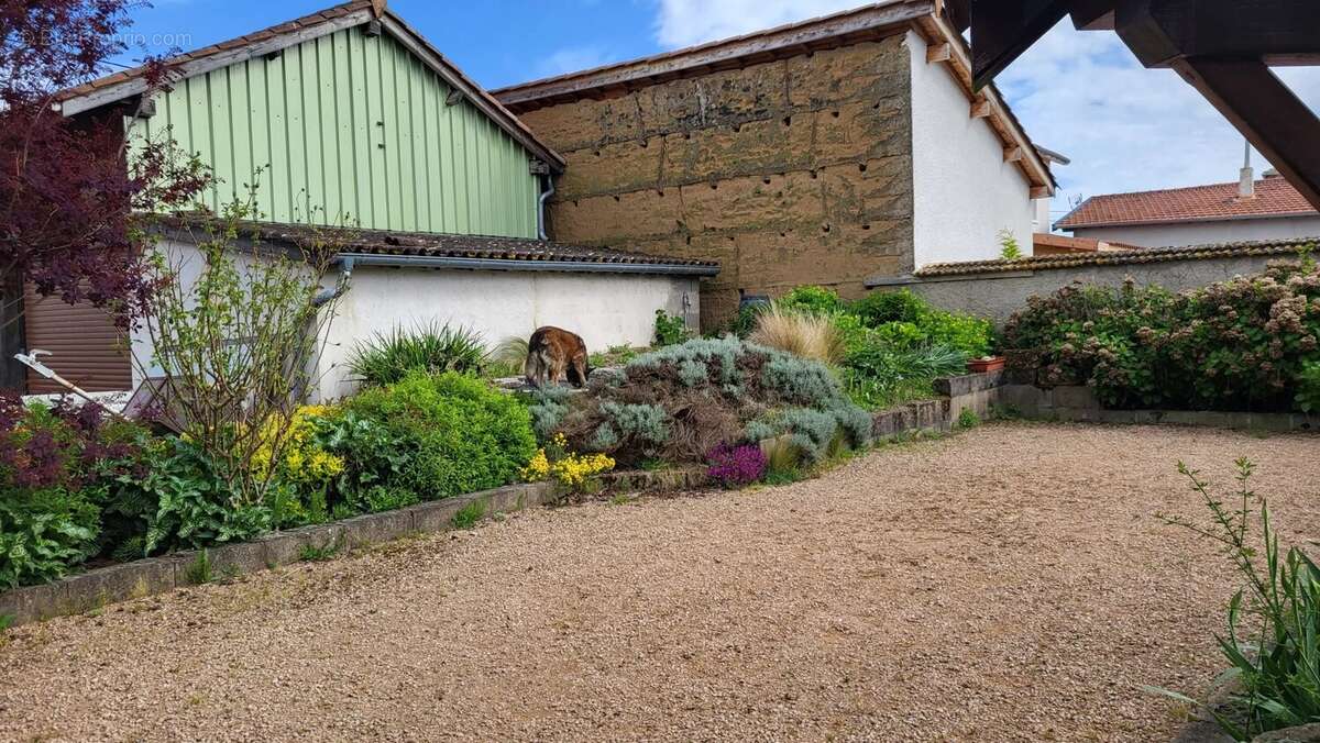 Maison à SAINT-DIDIER-SUR-CHALARONNE