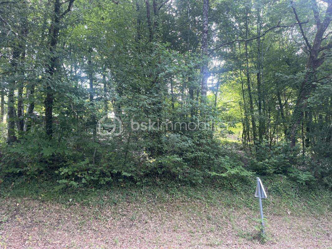 Terrain avec cu - photo 2
