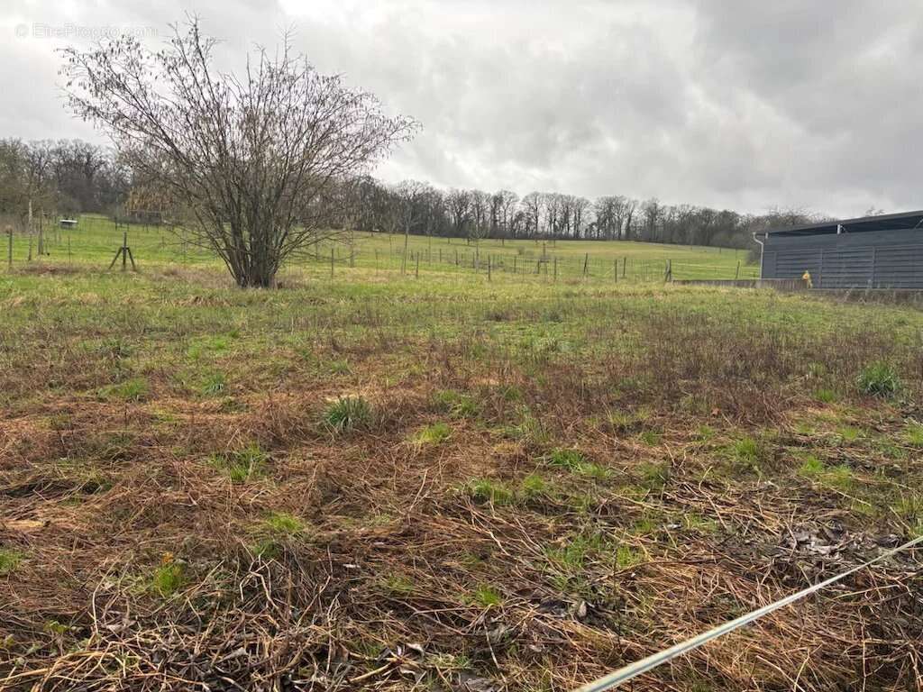 Terrain à GRINDORFF-BIZING