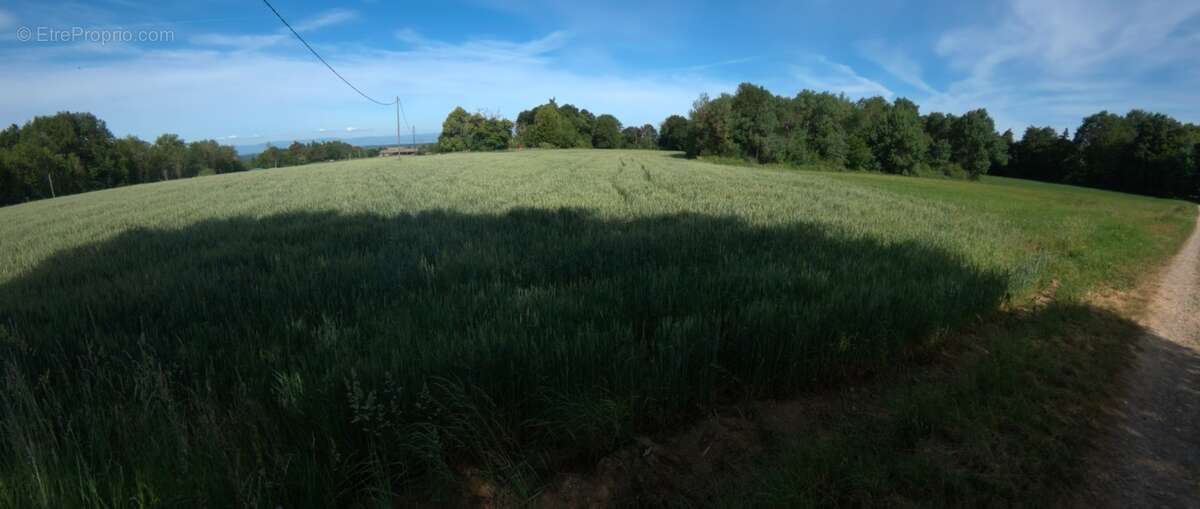 A vendre - Roybon (38940) – 3 parcelles de terrain agricole - photo 5