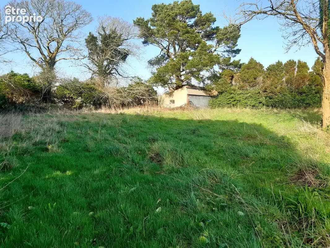 Spacieuse Longère sur terrain d'env. 2.300 m2 - photo 3