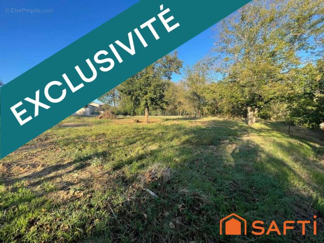 Photo 3 - Terrain à ALBI