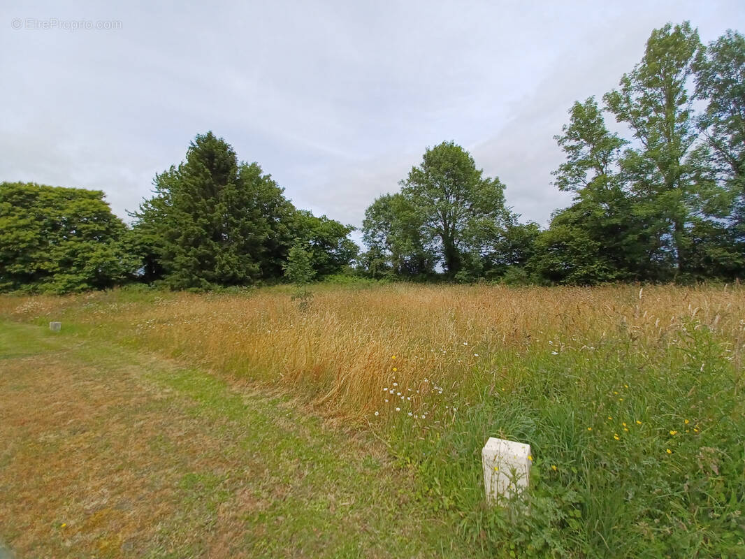 Terrain à SAINT-PAUL-EN-GATINE