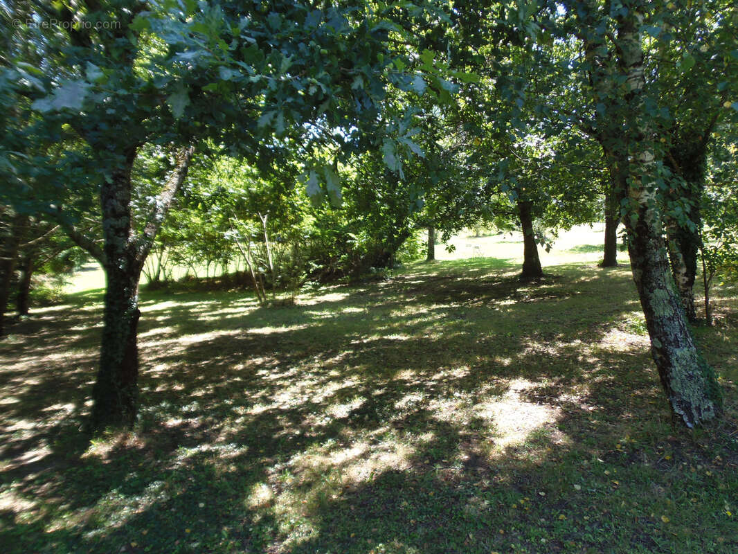 Maison à SAINT-THOMAS-DE-CONAC