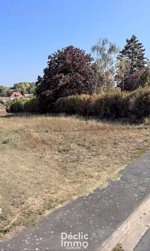 Terrain à BUXEUIL