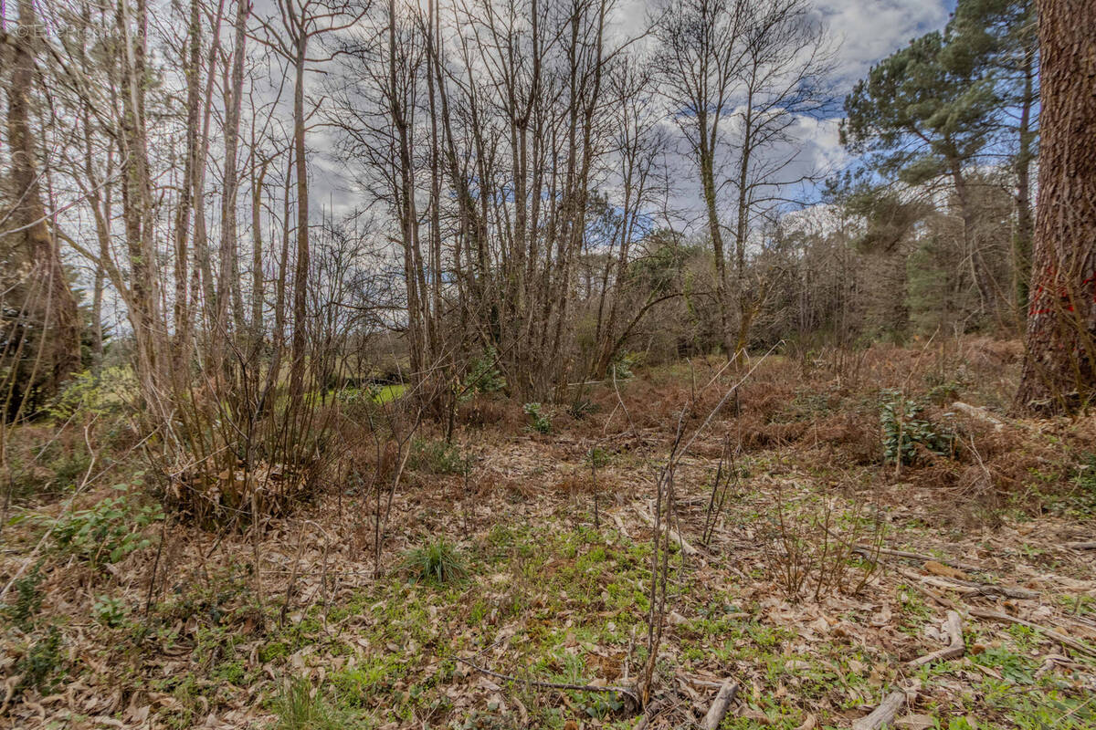 Terrain à CARSAC-AILLAC