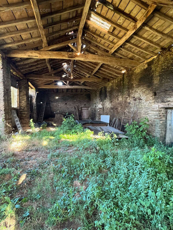 Maison à LE FIEF-SAUVIN