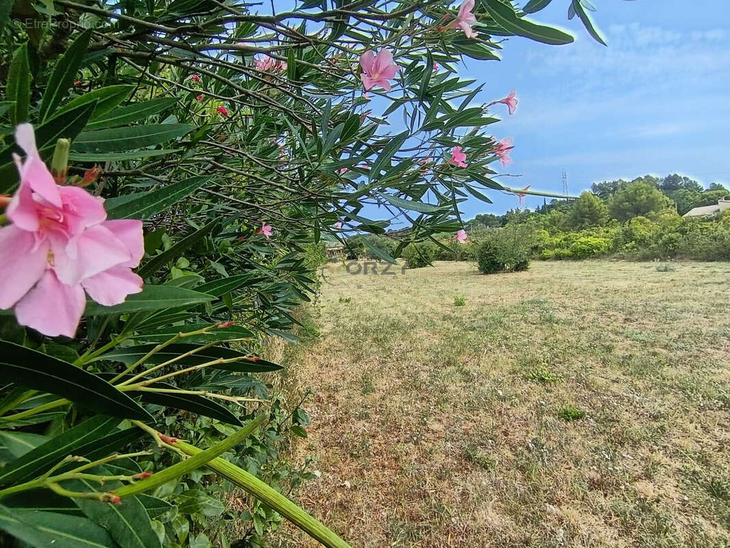 Maison 83 m² à Pujaut  - photo 5
