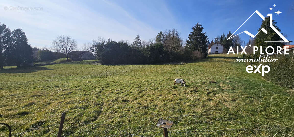 Terrain à JUJURIEUX