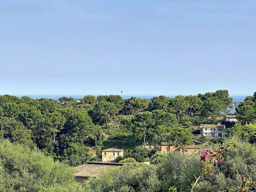 Maison à ANTIBES