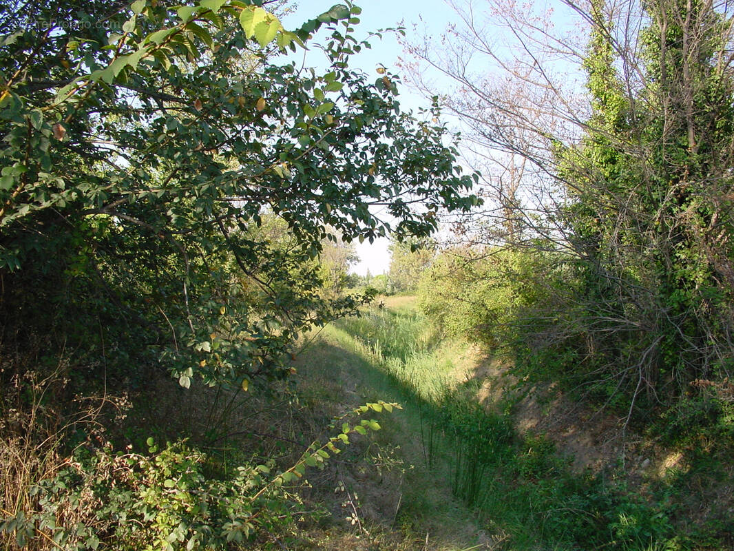 Terrain à MARGUERITTES