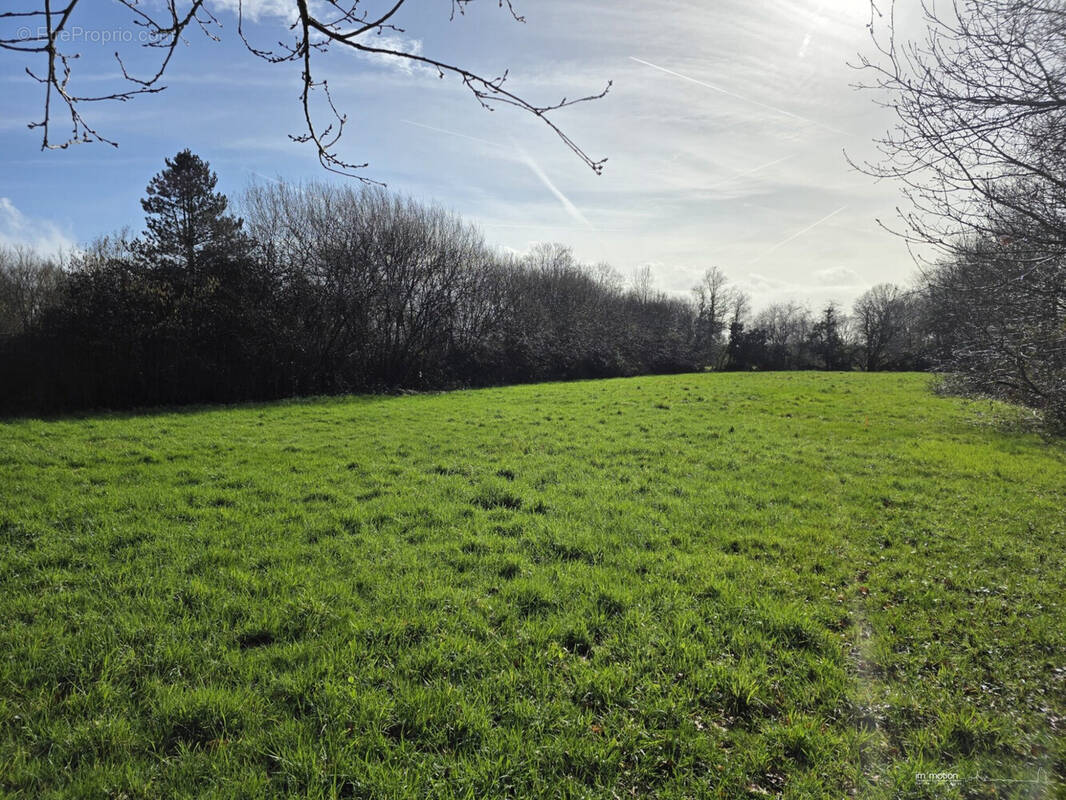 Terrain à NOTRE-DAME-DES-LANDES