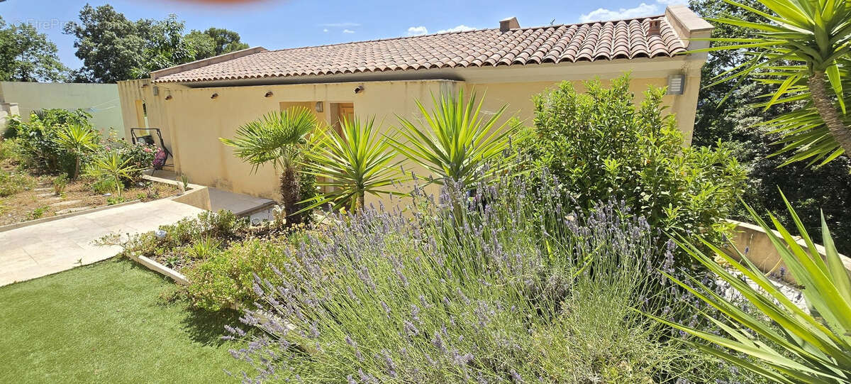 Maison à DRAGUIGNAN