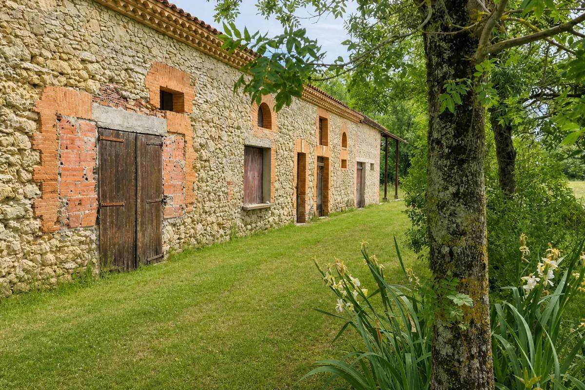 Ferme Lauragaise - Parc de 2 He au calme, à rénover - photo 2