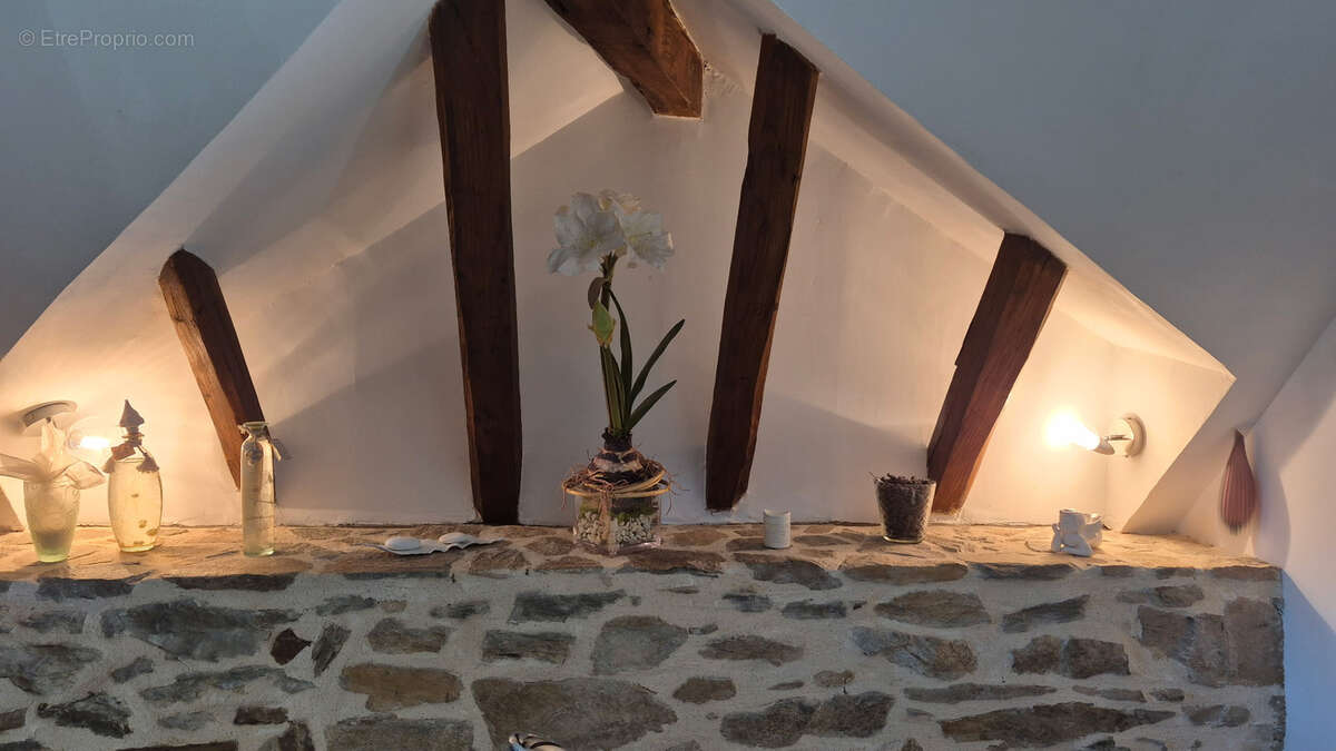 Ancienne grange de caractère rénovée avec gîte indépendant   276 m2   Entre Limoges et Brive-la-Gaillarde - photo 24