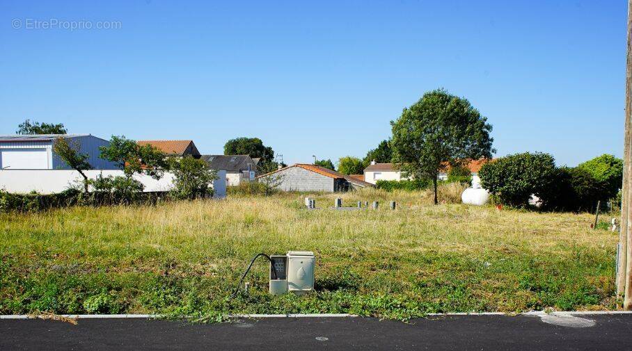Terrain à SAINT-MARS-DE-COUTAIS