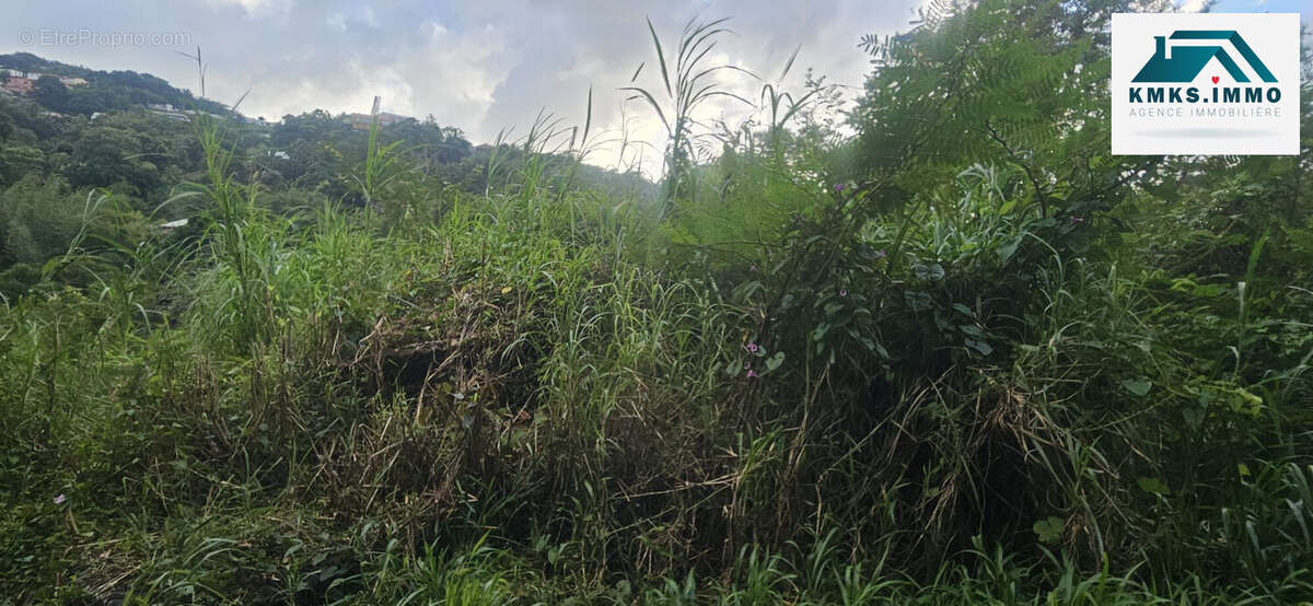 Terrain à RIVIERE-SALEE