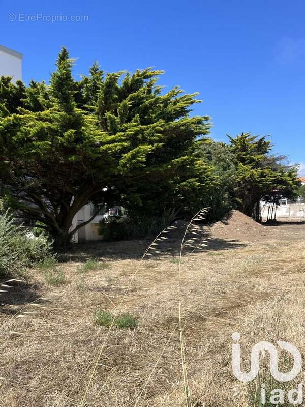 Photo 2 - Terrain à SAINT-BREVIN-LES-PINS