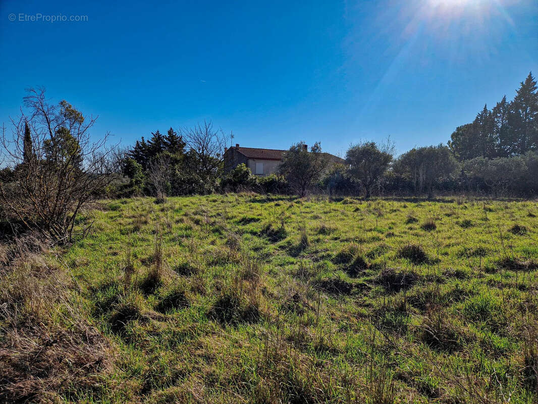 Terrain à LORGUES