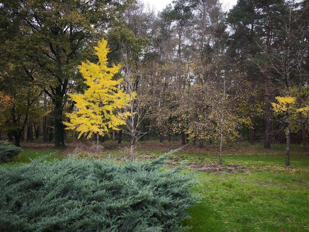 Autre à VILLEFRANCHE-SUR-CHER