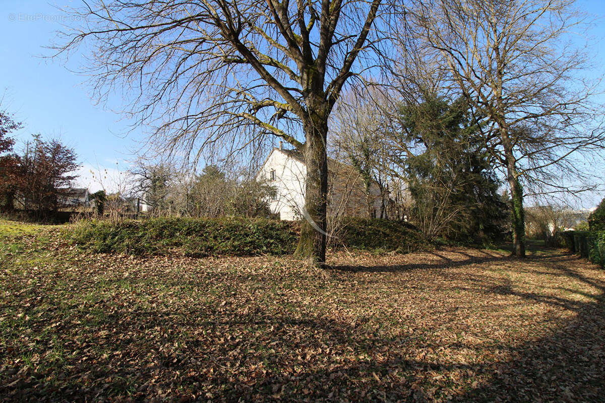 Maison à SAINT-GERVAIS-LA-FORET