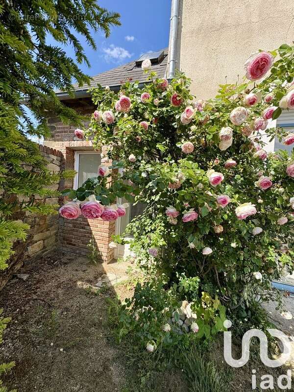 Photo 3 - Maison à BETTON