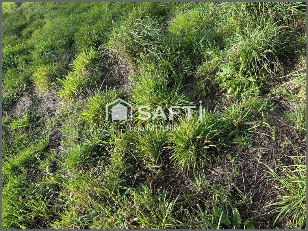 Photo 2 - Terrain à SEGRE