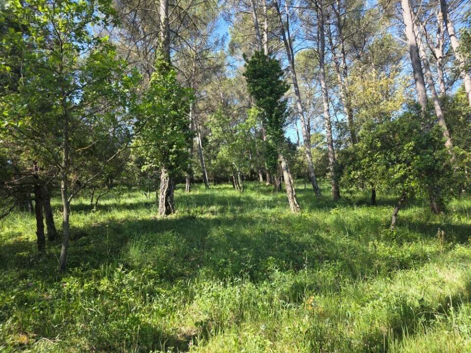 Terrain 184 m² à Sollies-Pont  - photo 3