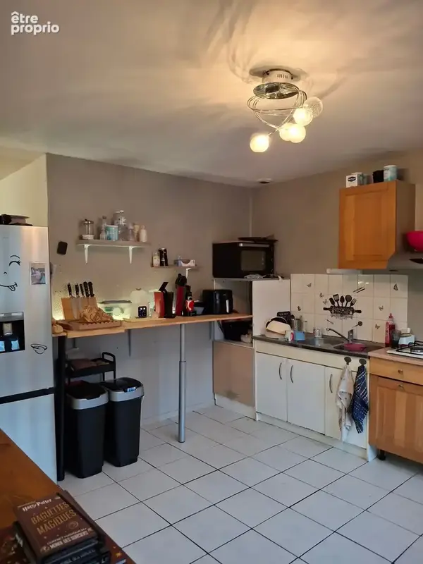 Immeuble de rapport à MONTIERS SUR SAULX (55) - photo 3