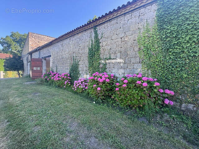 Maison à VIANNE