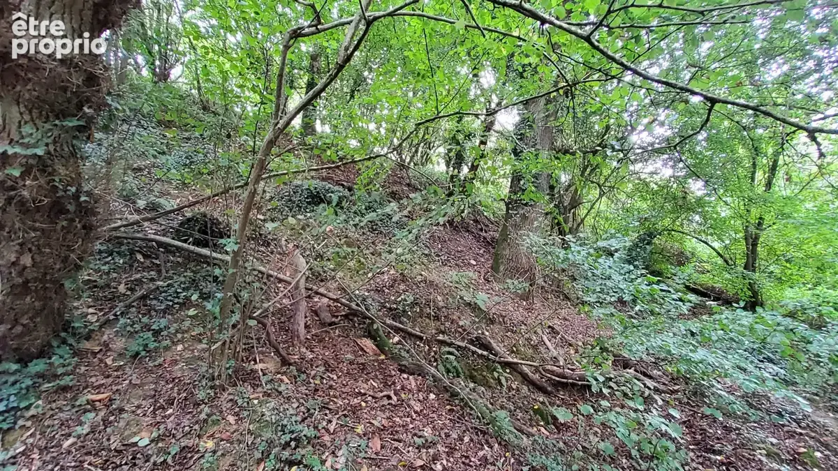 A VENDRE - Terrain de loisirs boisé 3650 m2 à POLIGNE - photo 3