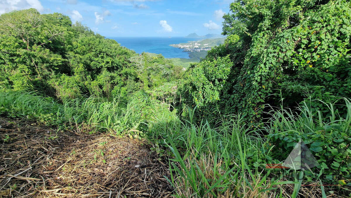 Terrain à LE MARIN