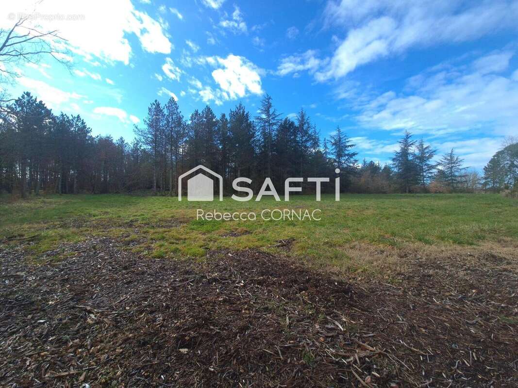 Photo 2 - Terrain à VILLEMATIER