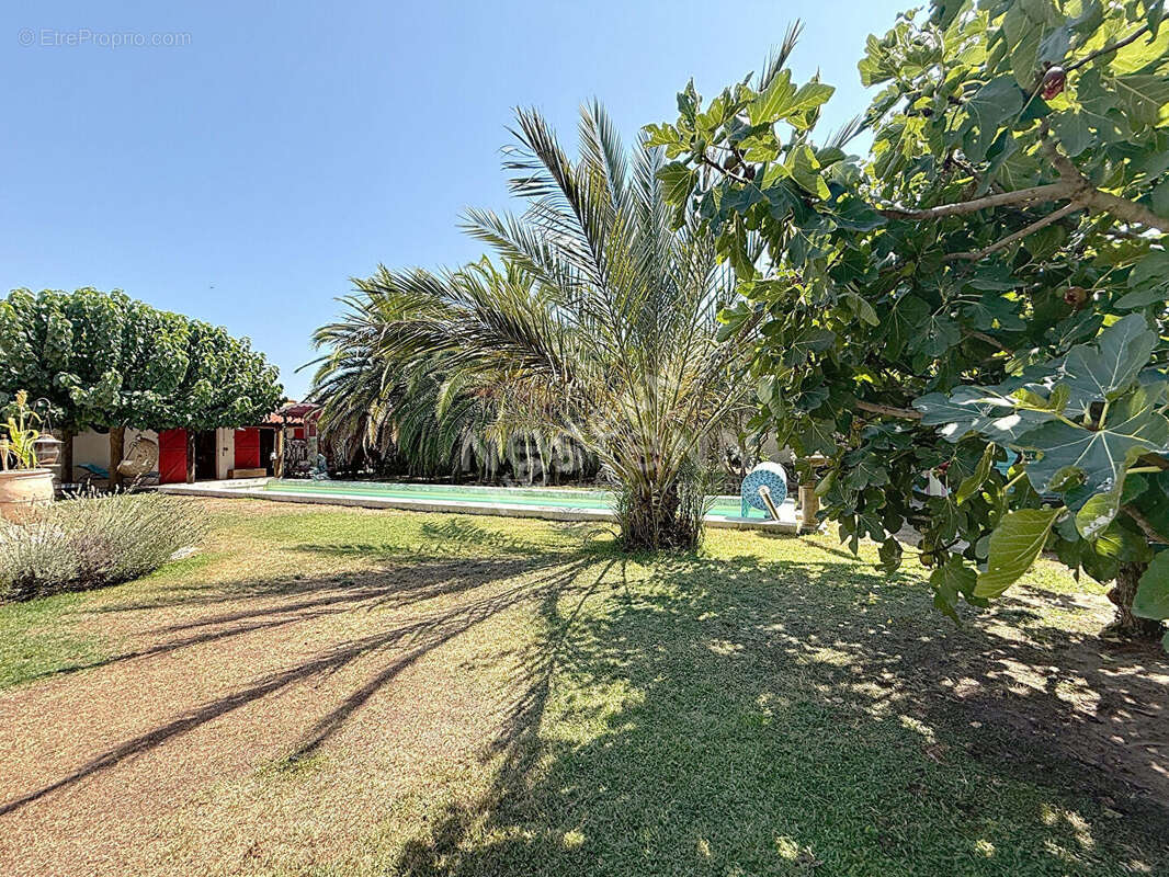 Maison à LE GRAU-DU-ROI