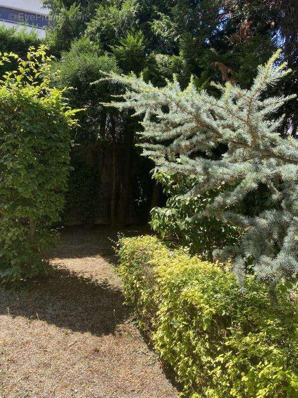 Maison à SAINT-ETIENNE