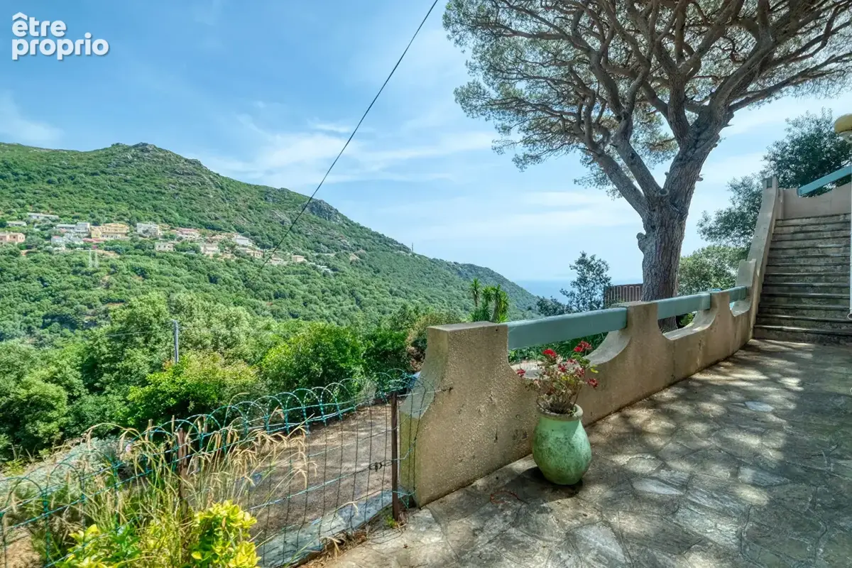 Maison 194m² à ville-di-pietrabugno - photo 18