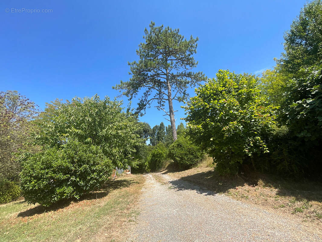 Maison PENNE D'AGENAIS 121m² + garages (terrain 11 630m²) - photo 3