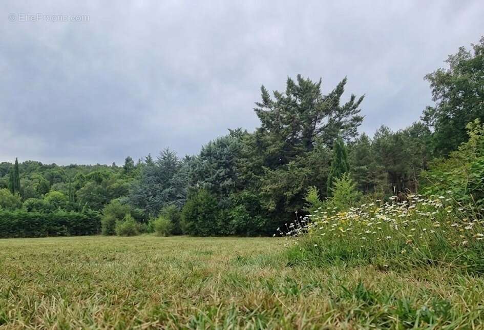 Terrain à LA BEGUDE-DE-MAZENC