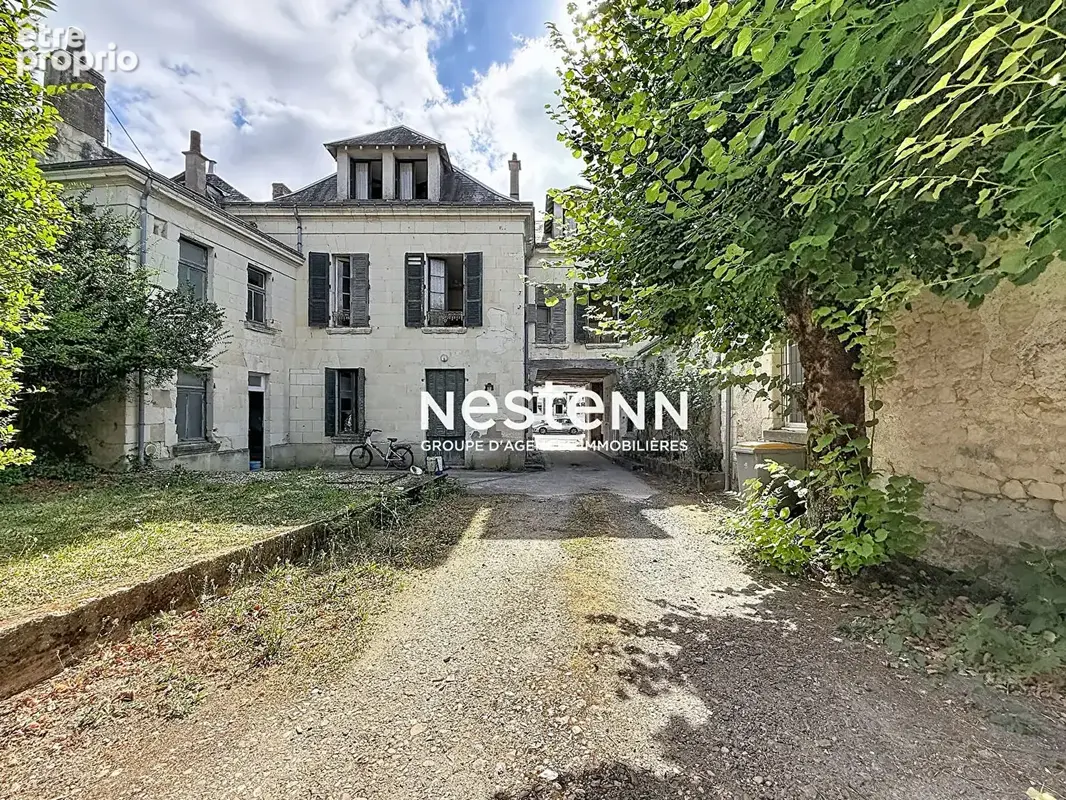Sainte-Maure-de-Touraine : Ensemble immobilier à fort potentiel - Spécial investisseurs & marchands de biens - photo 1