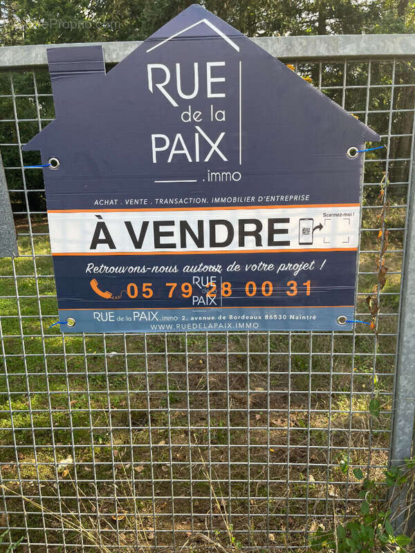 Terrain de loisirs Naintre 11433 m2 - photo 4