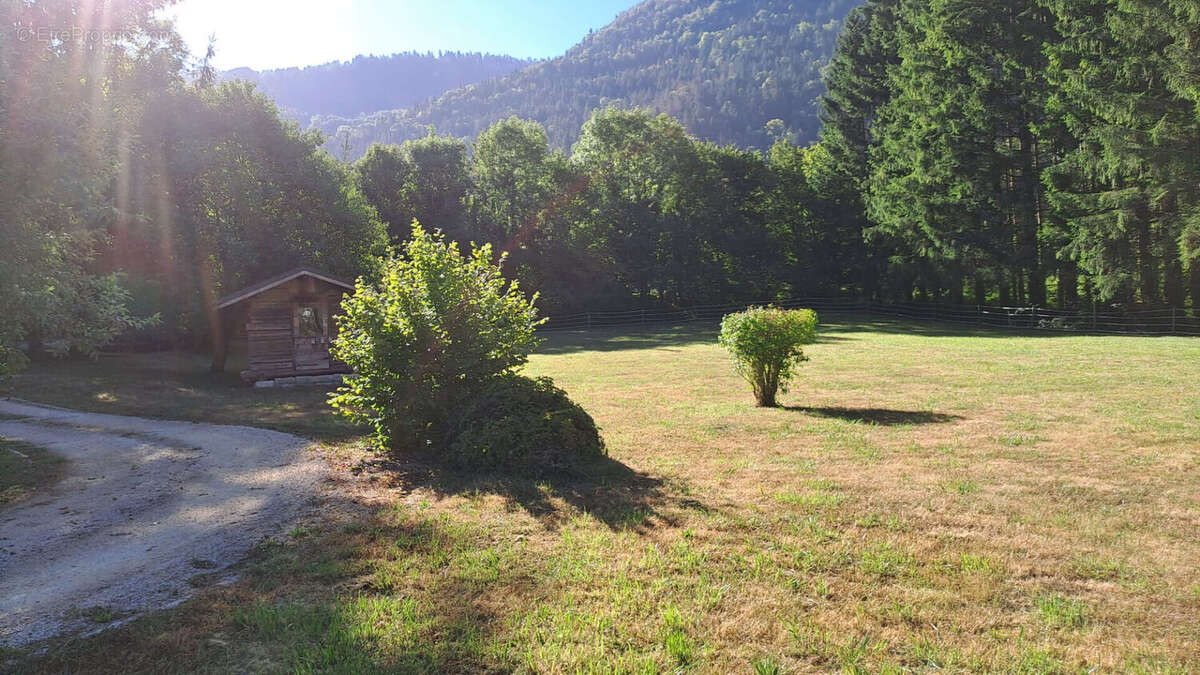 Nantua propriete - photo 18