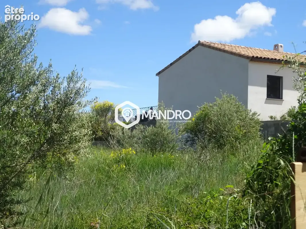 Terrain 910 m² à vendre à Tuchan (11350) - photo 6