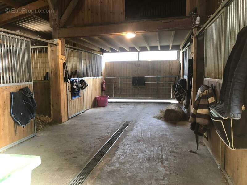 Propriété Corps de Ferme, Bâtisse d'habitation de caractère , nombreuses dependances dont Box, proche ALENCON, LE PERCHE, 2h00 P - photo 6