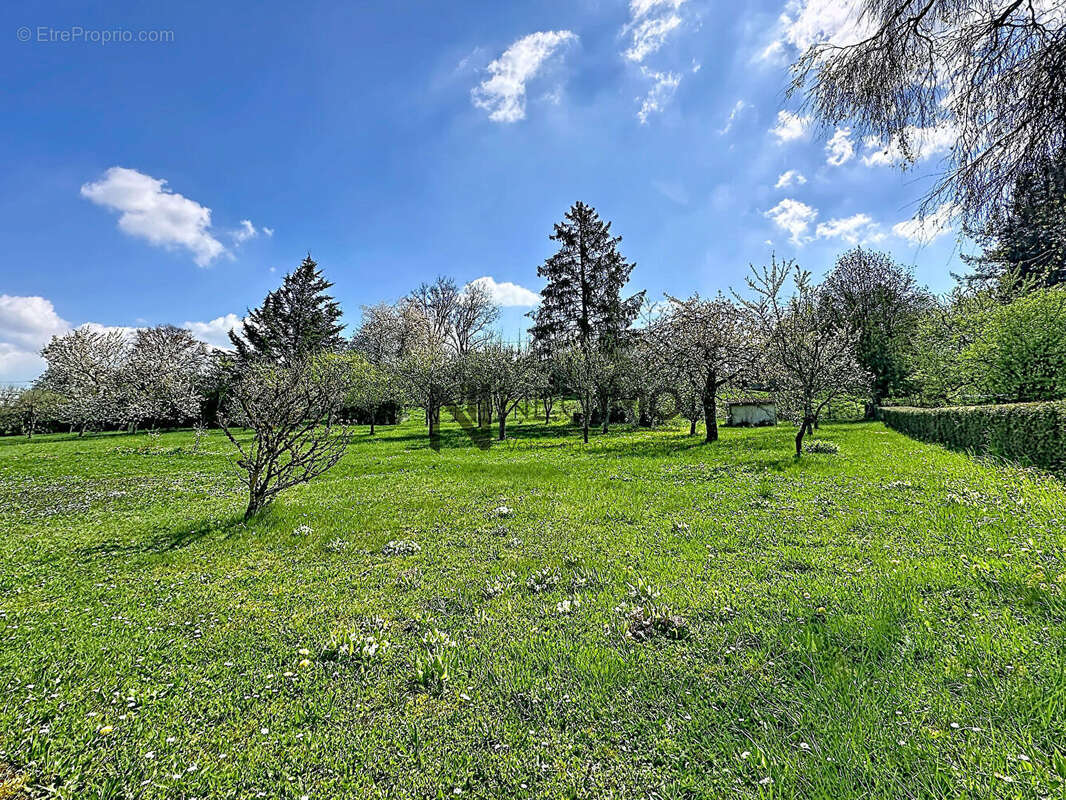Maison à NEUFCHATEAU