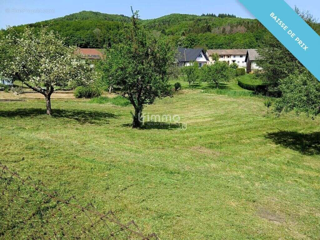 Terrain à MASEVAUX