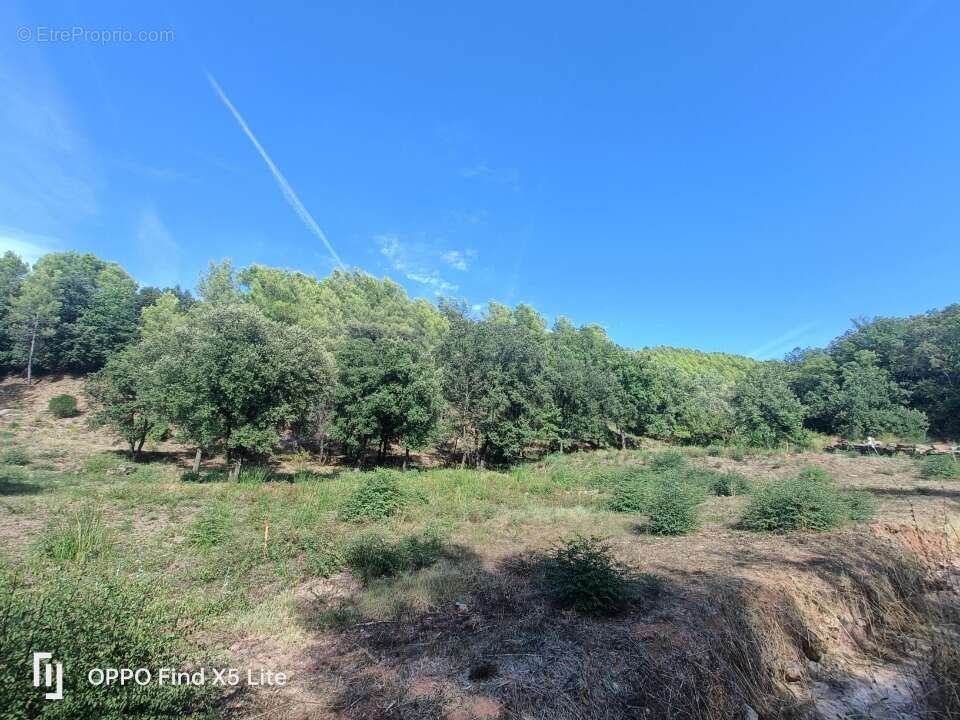 Terrain 930 m² à Taradeau  - photo 3
