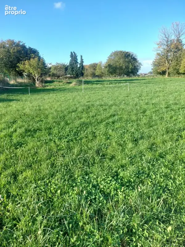 terrain constructible 1594 m² - photo 4